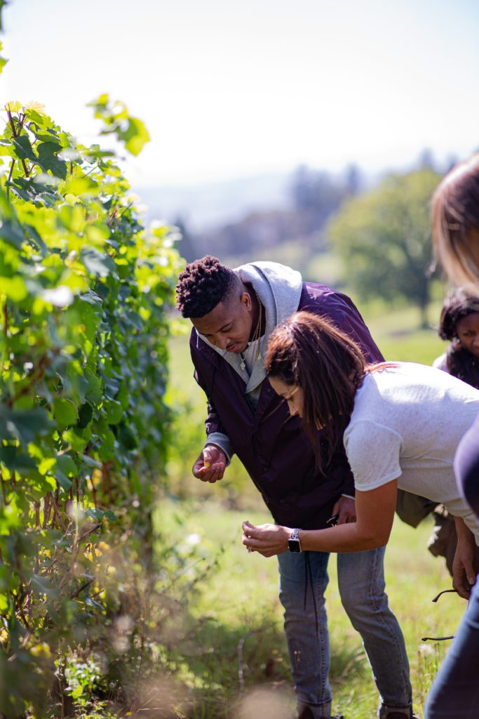 It Takes a Village: Adelsheim Turns 50 7
